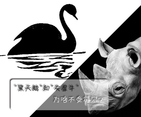 "黑天鵝"和"灰犀牛"為啥不受待見(jiàn)？