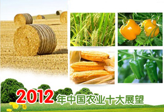 2012年中國農業(yè)十大展望