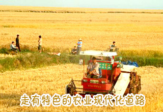 走有特色的農業(yè)現代化道路