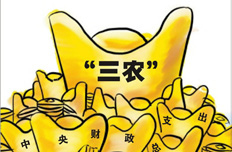 財政三農支出繼續(xù)增加 縮小城鄉(xiāng)收入差距