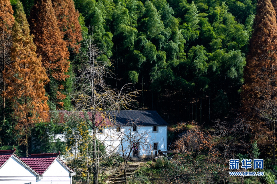 后母山村秋景