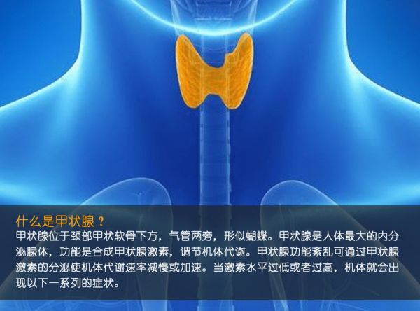 關(guān)注甲狀腺健康，你應(yīng)該知道的那些事