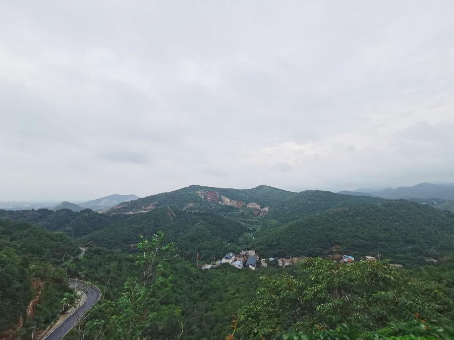 圍繞&ldquo;十四五&rdquo;規(guī)劃上海青年建言獻(xiàn)策 政府部門&ldquo;零時差&rdquo;回應(yīng)
