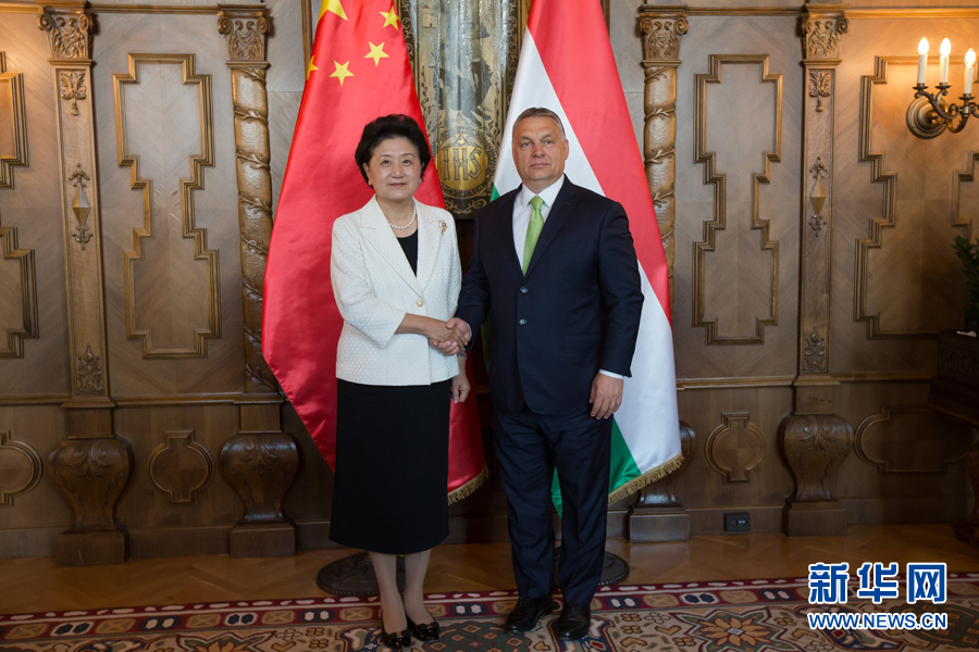  6月21日，國(guó)務(wù)院副總理劉延?xùn)|（左）在匈牙利布達(dá)佩斯國(guó)會(huì)大廈會(huì)見(jiàn)匈牙利總理歐爾班。 新華社發(fā)（弗爾季&middot;奧蒂洛攝）