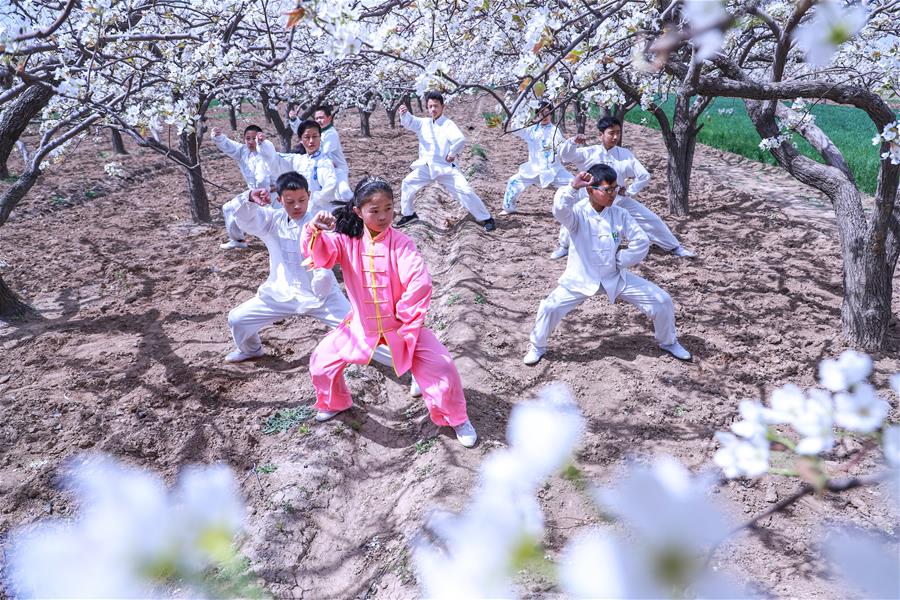 #（社會(huì)）（3）梨花林里舞太極