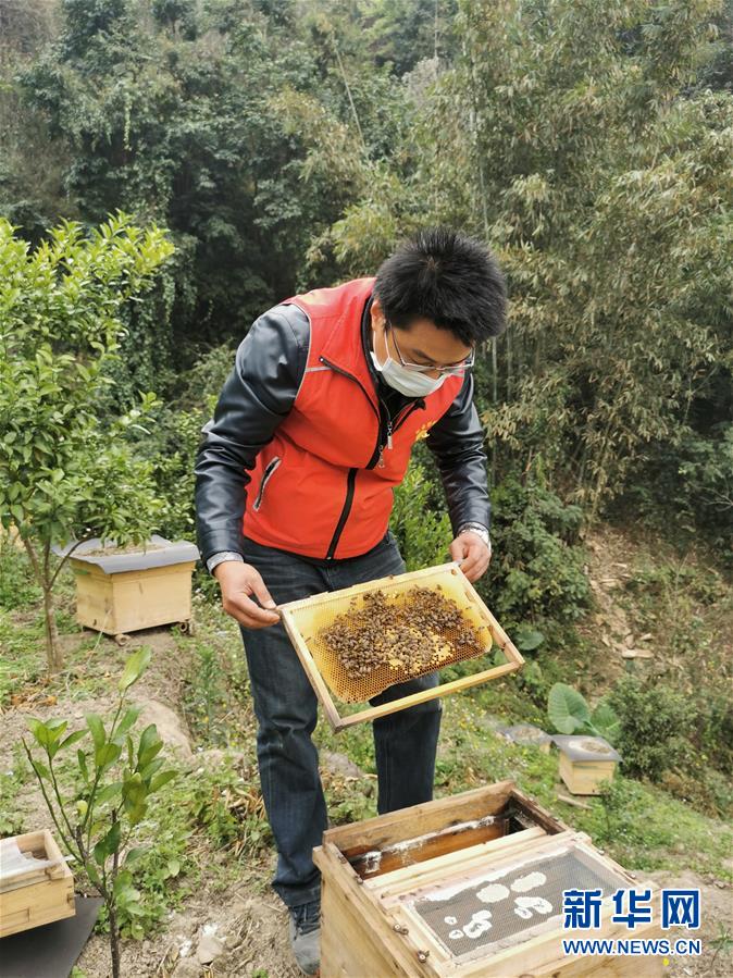 （新華全媒頭條&middot;圖文互動）（3）初心赴使命 熱血寫春秋&mdash;&mdash;記脫貧攻堅中的共產(chǎn)黨員