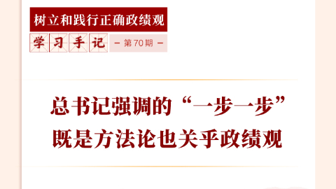 總書記強調的“一步一步”既是方法論也關乎政績觀