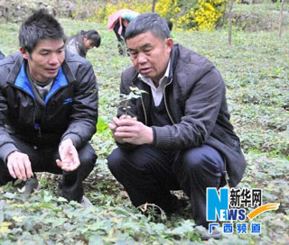 &ldquo;大山的脊梁&rdquo;吳天來：挺直腰桿帶領(lǐng)群眾共同富裕
