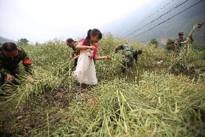 地震災區(qū)&ldquo;雙搶&rdquo;忙 軍民協(xié)力促生產