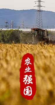 農(nóng)業(yè)強國是社會主義現(xiàn)代化強國的根基。