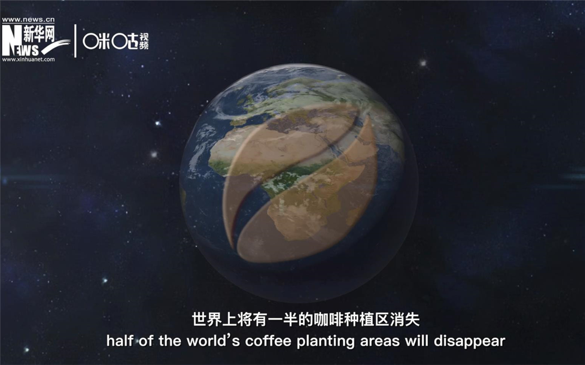 科學家預測到三十年后，世界上將有一半的咖啡種植區(qū)消失
