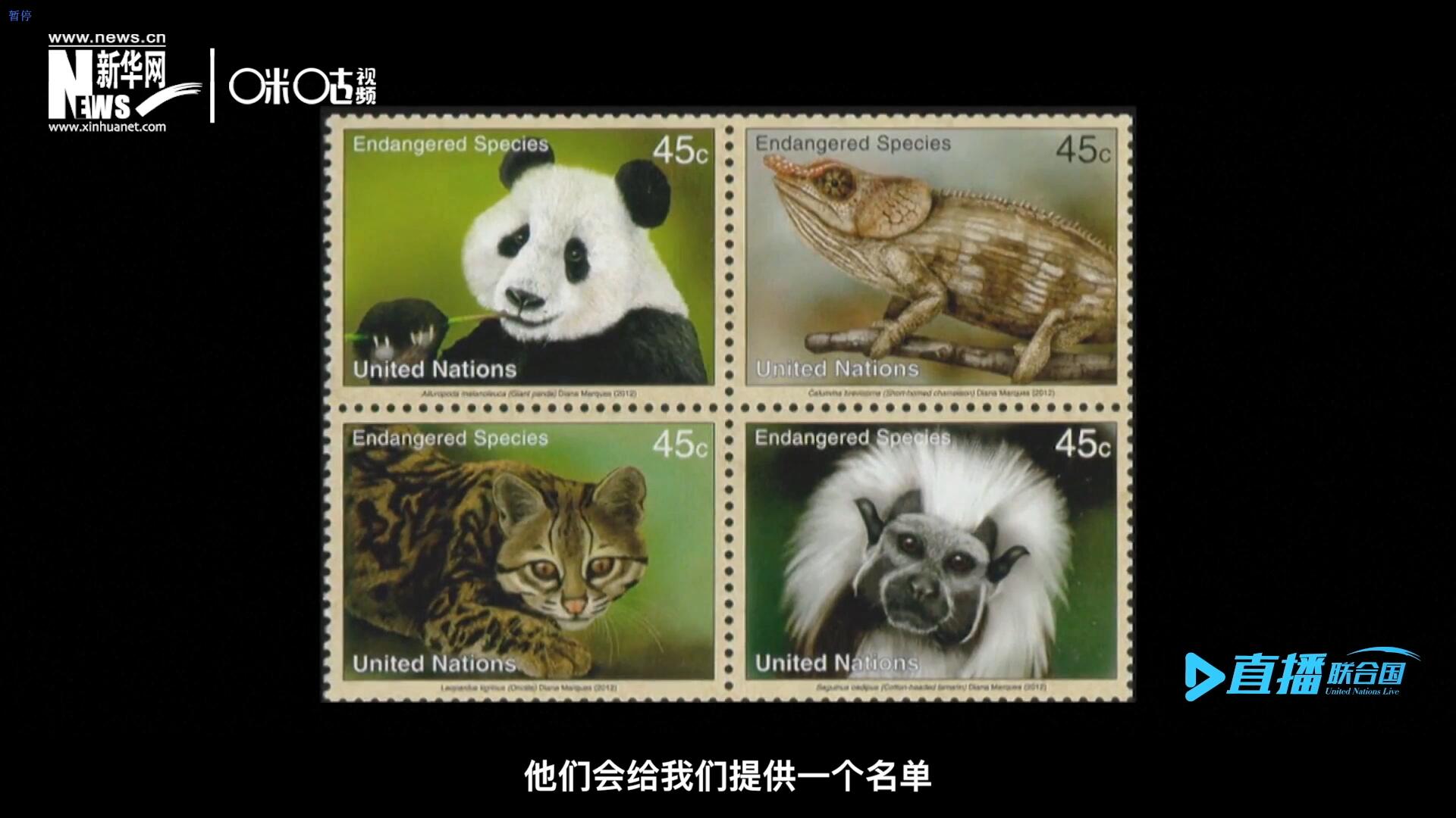 CITES（瀕危野生動植物種國際貿易公約）會給聯(lián)合國郵政設計師提供一個名單，雙方共同合作在附錄中找到名單中應該受到關注的動物。
