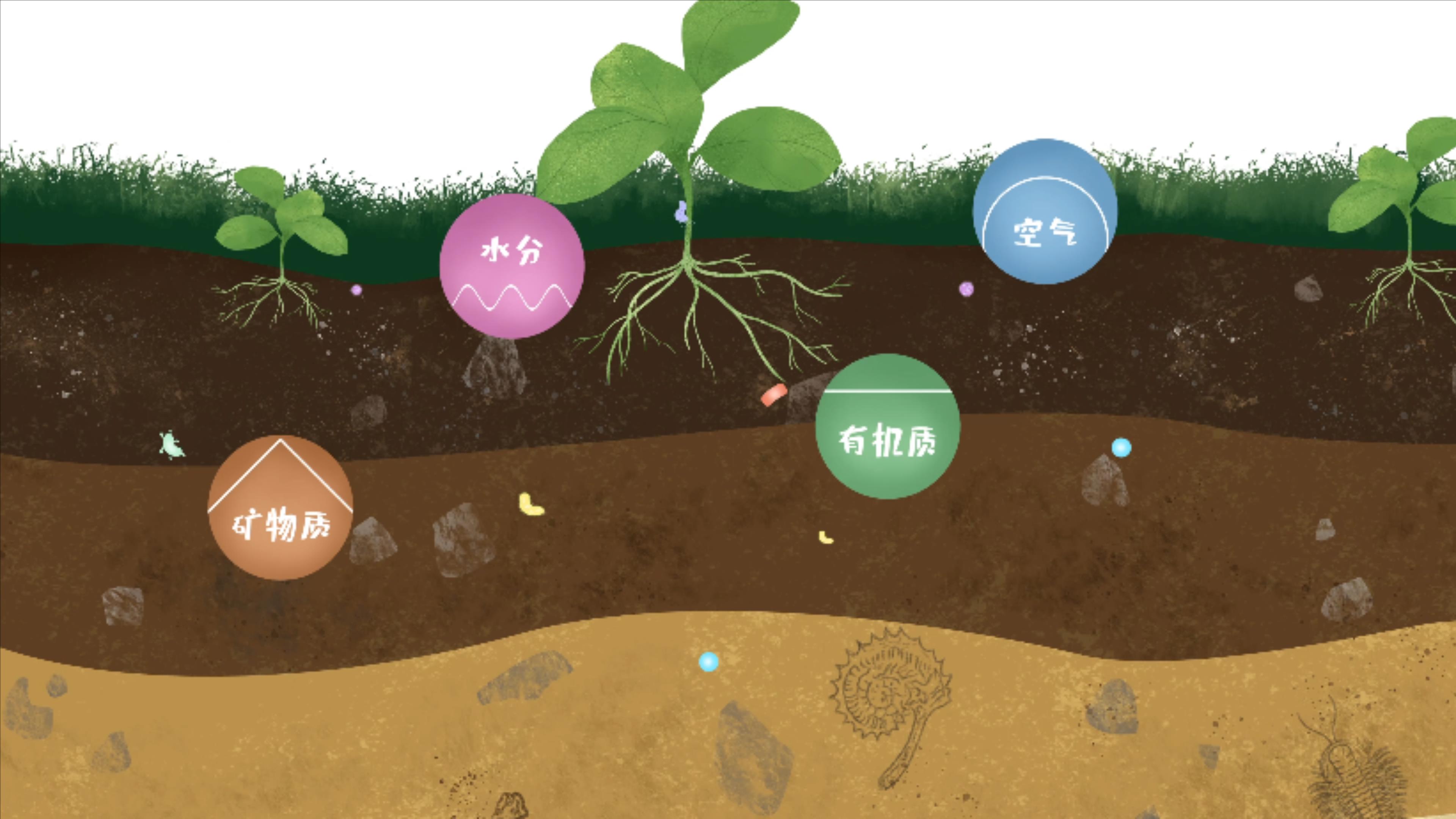 土壤由礦物質(zhì)、有機(jī)質(zhì)、水分、空氣及包括微生物在內(nèi)的生物體等組成