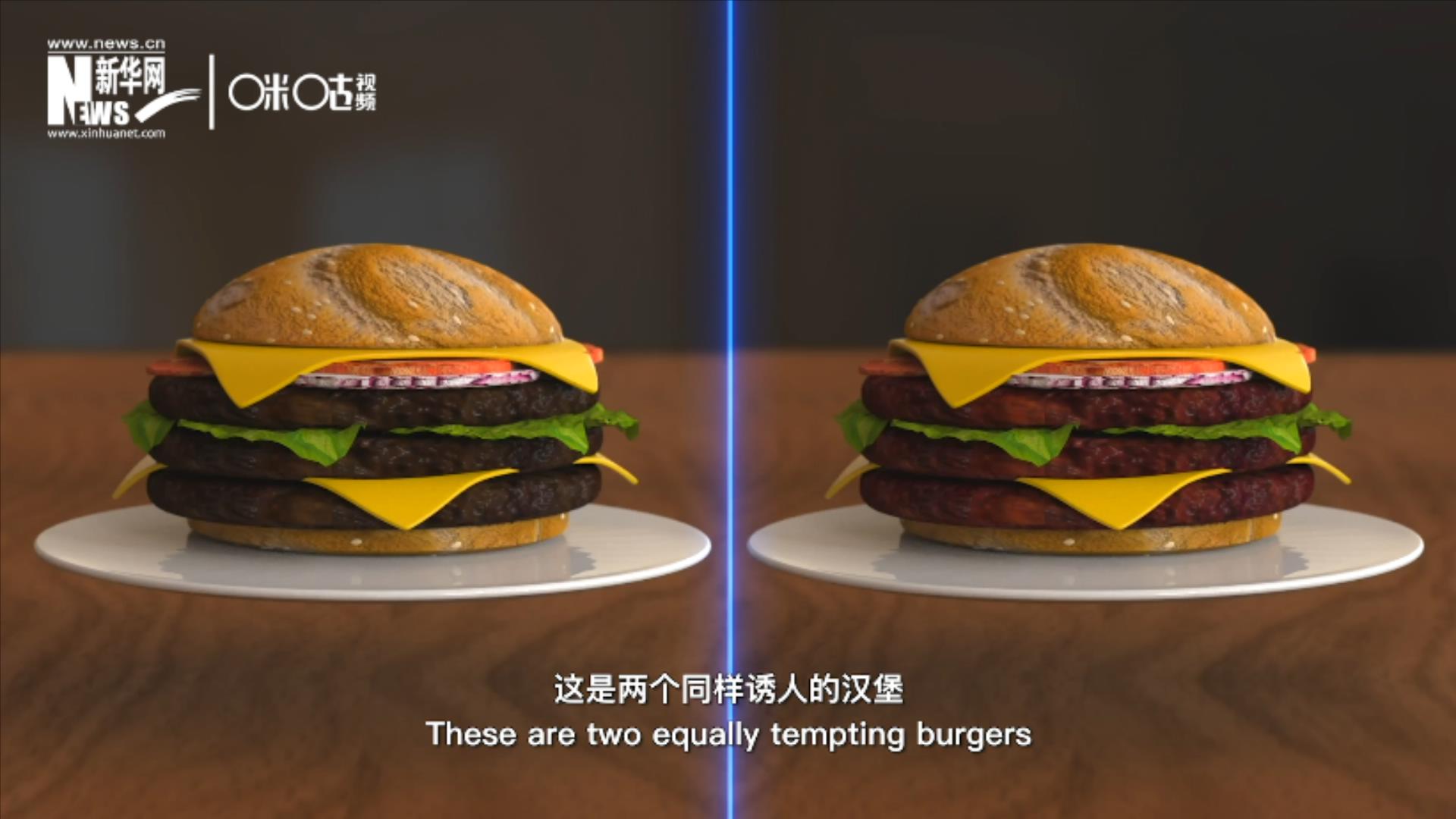 人造肉漢堡能在生產(chǎn)過程中節(jié)約水、土地、排放以及能量