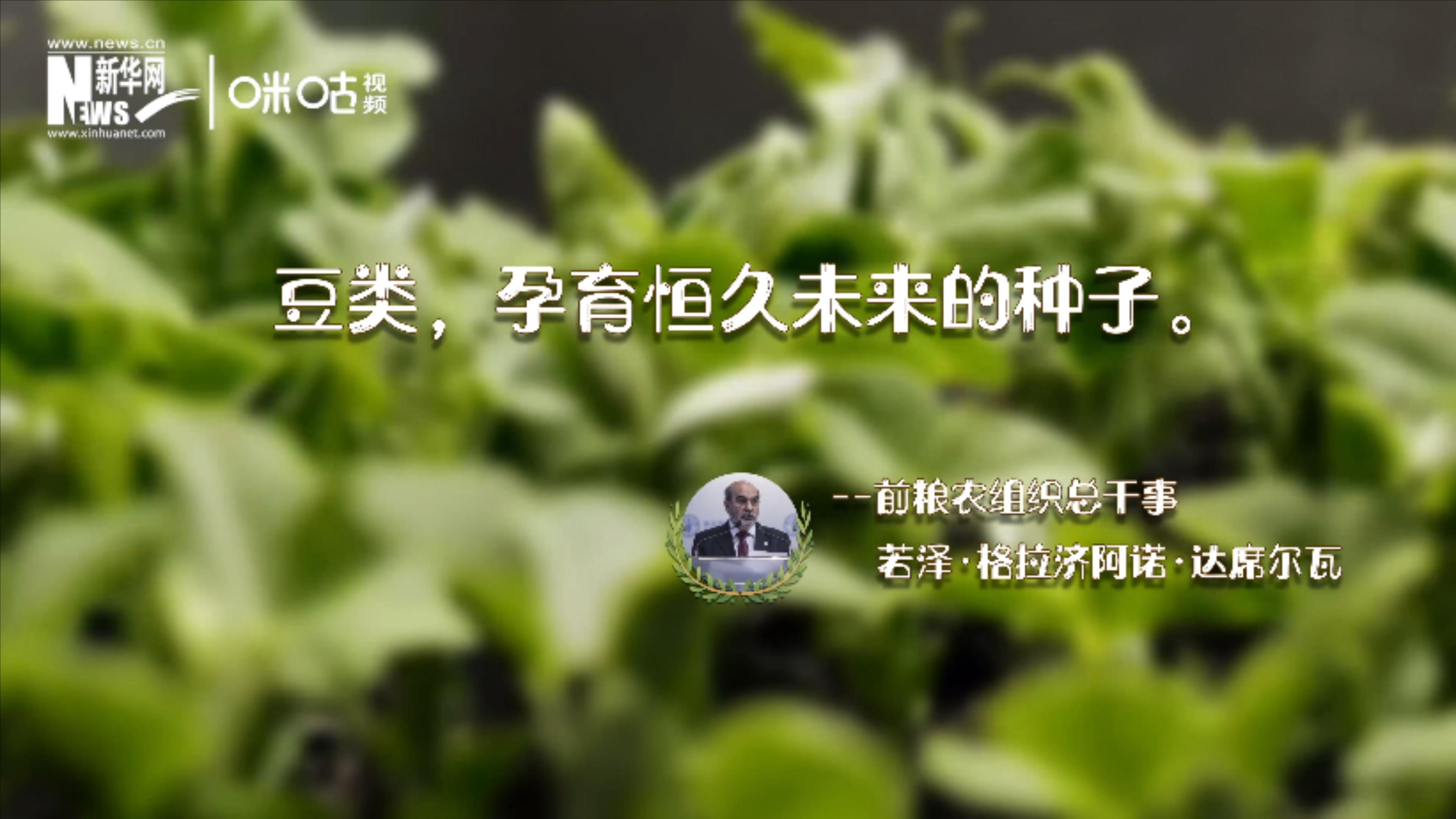 豆類，孕育恒久未來(lái)的種子
