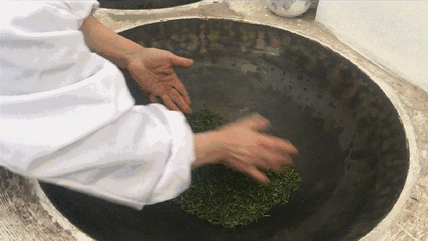 申遺，把雨花茶手藝傳承下去