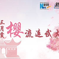 三月賞櫻，流連武大