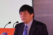 陳實：數(shù)據(jù)安全保障至關重要