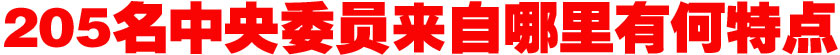 205名中央委員來(lái)自哪里？有何特點(diǎn)？