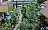震撼！日本最豪華的廁所（組圖）