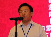 國際旅游投資協(xié)會副會長、巔峰智業(yè)首席顧問劉鋒