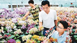 臺商眼中的改革開放：風(fēng)景這邊獨好 要去，要去，要去！