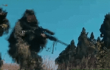 突入，擊斃！直擊武警特戰(zhàn)反劫持演練！