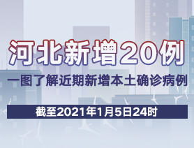 河北新增20例，一圖了解近期新增本土確診病例