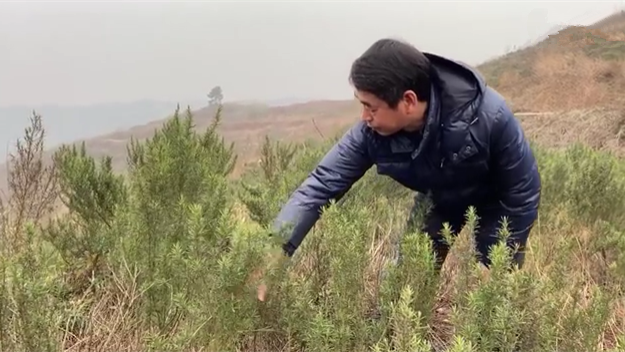 新春走基層｜脫貧后，駐村扶貧隊長在干啥？