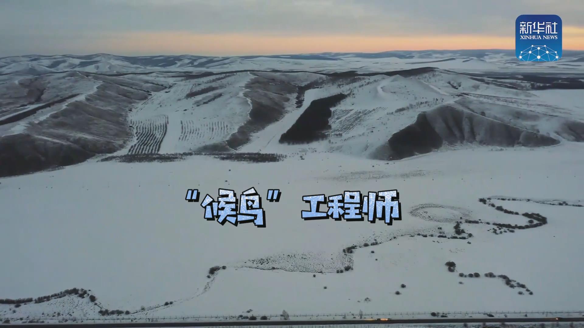 我們在奔跑丨一路向北！他是逆行的&ldquo;候鳥&rdquo;