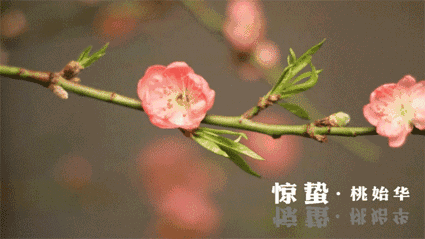 &ldquo;如果節(jié)氣會(huì)說話&rdquo;之驚蟄