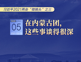 習(xí)近平2021兩會(huì)&ldquo;微鏡頭&rdquo;之三 3月5日 在內(nèi)蒙古團(tuán)，這些事談得很深