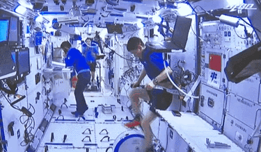 太空&ldquo;出差&rdquo;滿月：三名航天員太空工作生活井然有序