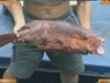 [新聞1+1] 走，南沙捕魚去！