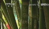 &ldquo;五一&rdquo;去哪？：快樂(lè)出行 文明旅游