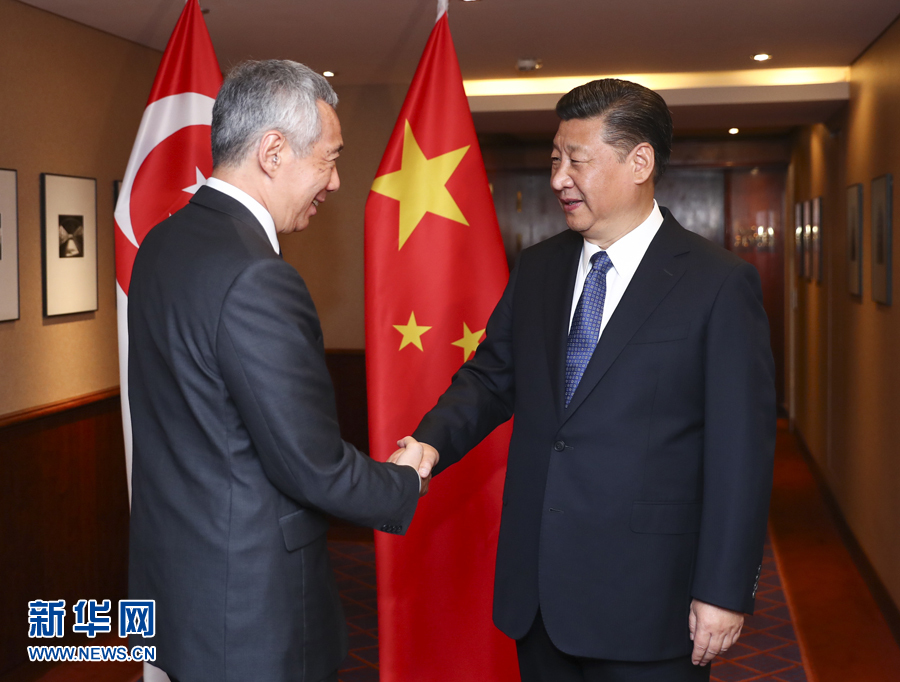 7月6日，國(guó)家主席習(xí)近平在漢堡會(huì)見(jiàn)新加坡總理李顯龍。 新華社記者謝環(huán)馳 攝