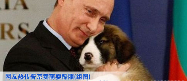 網(wǎng)友熱傳普京賣萌?？嵴?組圖)