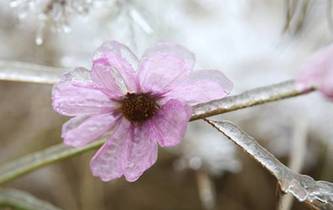 &ldquo;冰雪奇緣&rdquo;