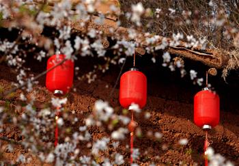 大山里的&ldquo;愛和小鎮(zhèn)&rdquo;：當鄉(xiāng)村遇上藝術